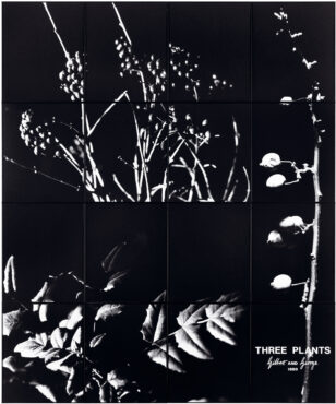 1980 THREE PLANTS