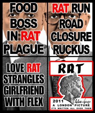 2010 RAT