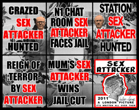 2010 SEX ATTACKER