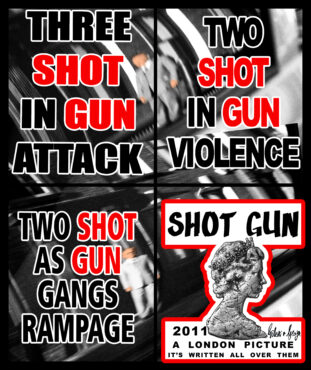2010 SHOT GUN