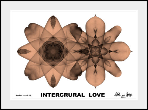 2009 INTERCRURAL LOVE edition 100